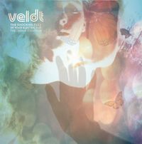 The Veldt - The Shocking Fuzz of Your Electric Fur: The Drake Equation