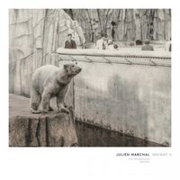 Julien Marchal - Insight II