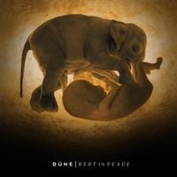 D&uuml;ne - Rest in Peace