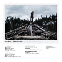 Kyle Morton - What Will Destroy You