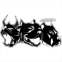 Craig Xen - Xen
