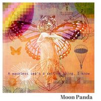 Moon Panda - A Waveless Sea's a Selfish Thing. I Know.