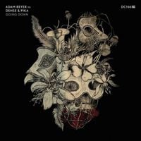 Adam Beyer Vs. Dense & Pika - Going Down