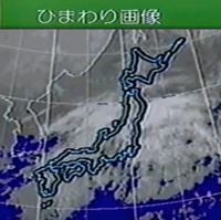 天気予報 [Weather Forecast] - ひまわり画像 [Sunflower Image]
