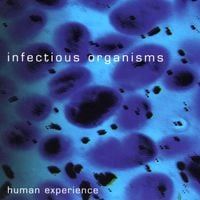 Infectious Organisms - Human Experience