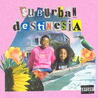 Jelani Aryeh - Surburban Destinesia