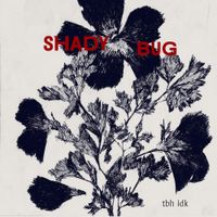 Shady Bug - tbh idk