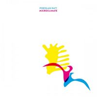 Porcelain Raft - Microclimate