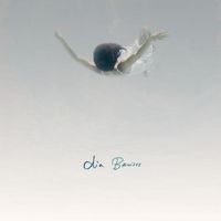 Dia Frampton - Bruises