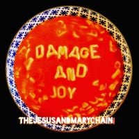 The Jesus and Mary Chain - Damage and Joy