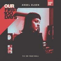 Angel Olsen - Fly On Your Wall