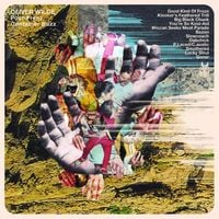 Oliver Wilde - Post​-​Frenz Container Buzz