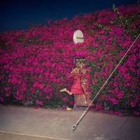 Feist - Pleasure