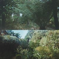 Lieven Martens Moana - Gardens, Fire and Wine