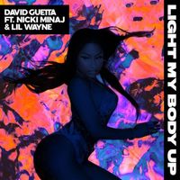 David Guetta - Light My Body Up