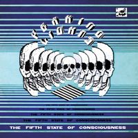 Peaking Lights - The Fifth State of Consciousness