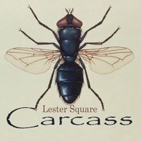 Lester Square - Carcass