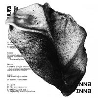 BNNT - MULTIVERSE