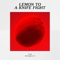 The Wombats - Lemon to a Knife Fight