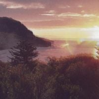 The Ocean Party - Beauty Point