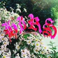 The HIRS Collective - Friends. Lovers. Favorites.