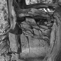 ION - A Path Unknown