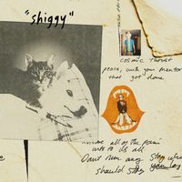 Stephen Malkmus and the Jicks - Shiggy