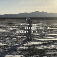 Spiritualized® - And Nothing Hurt