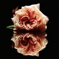 Florence + the Machine - Big God