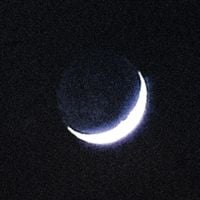 Oiseaux-Temp&ecirc;te - Tarab