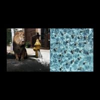 Meek Mill - Legends of the Summer