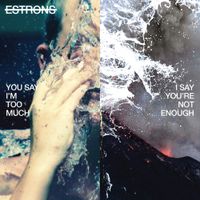 Estrons - You Say I'm Too Much, I Say You're Not Enough