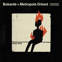 Bokant&eacute; and the Metropole Orkest - What Heat
