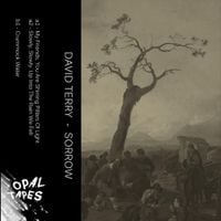 David Terry - Sorrow