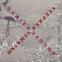 Stephen Malkmus - Groove Denied