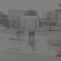 Nivhek - After its own death / Walking in a spiral towards the house
