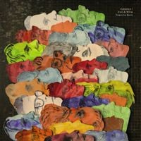 Calexico & Iron and Wine - Years to Burn