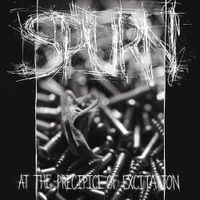 Spurn - At the Precipice of Excitation