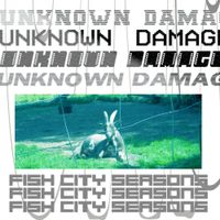 Unknown Damage - Fish City Seasons