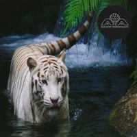 Lone - Not Seeing Is a Flower