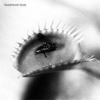 Trampoline Team - Trampoline Team