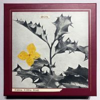 Enofa - Nerra Ninna Noak