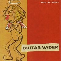 Guitar Vader - Wild At Honey