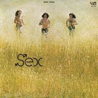 Sex - Sex