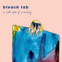 Bleach Lab - A Calm Sense of Surrounding