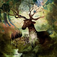 Black Hill - Maze in the Dark Forest