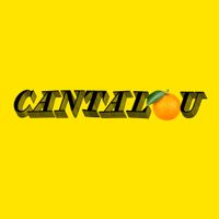 Thierry Larose - Cantalou