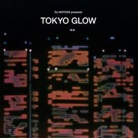 Various Artists - DJ NOTOYA presents TOKYO GLOW: Japanese City Pop, Funk & Boogie