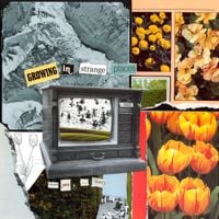 thank you, i'm sorry - Growing In Strange Places
