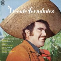 Vicente Fern&aacute;ndez - Vicente Fern&aacute;ndez